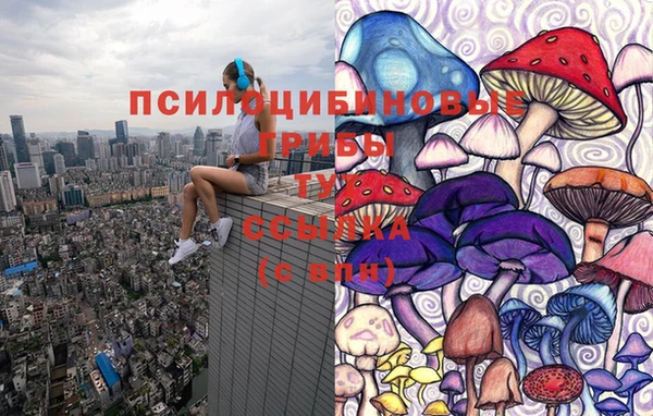 PSILOCYBIN Каменка