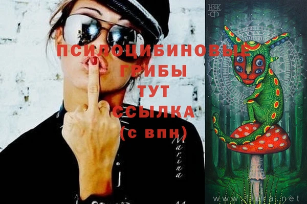 PSILOCYBIN Каменка