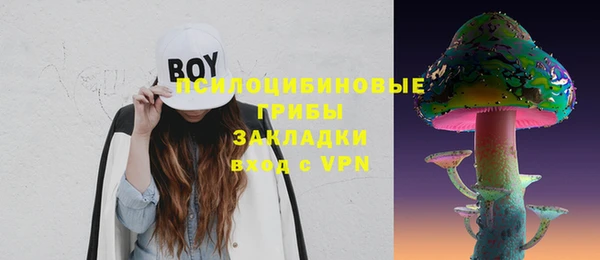 PSILOCYBIN Каменка