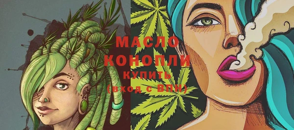PSILOCYBIN Каменка