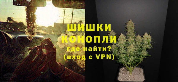 ПСИЛОЦИБИНОВЫЕ ГРИБЫ Каменногорск