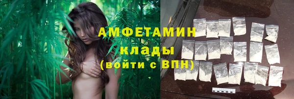 PSILOCYBIN Каменка