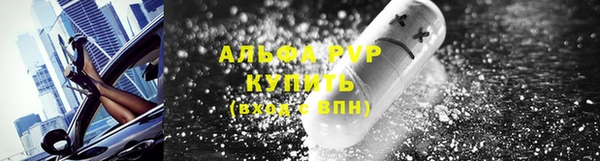 PSILOCYBIN Каменка