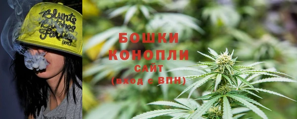 ПСИЛОЦИБИНОВЫЕ ГРИБЫ Каменногорск