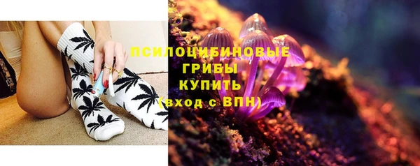 ПСИЛОЦИБИНОВЫЕ ГРИБЫ Каменногорск