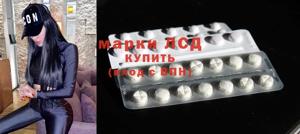 PSILOCYBIN Каменка